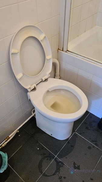  verstopping toilet Gorinchem